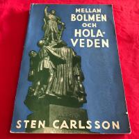 Mellan Bolmen och Holaveden - Samh&auml;llsklasser, n&auml;ringsliv och politiska f&ouml;rh&aring;llanden i J&ouml;nk&ouml;pings l&auml;n fr&aring;n medeltidens b&ouml;rjan intill &aring;r 1950 