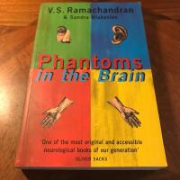 PHANTOMS IN THE BRAIN