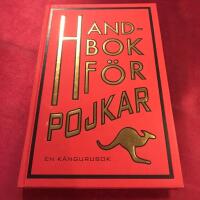 Handbok f&ouml;r pojkar