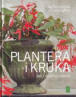Plantera i kruka