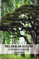 Mellan klan och stat : somalier i Sverige