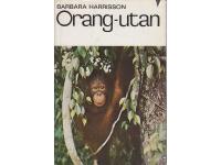 Orang-utan