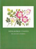 &Auml;ppelrosen i Tanto.