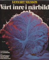 V&aring;rt inre i n&auml;rbild. En fotografisk uppt&auml;cksf&auml;rd i din kropp