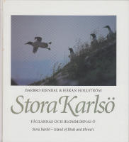 Stora Karls&ouml; : f&aring;glarnas och blommornas &ouml;