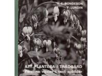 Att plantera i tr&auml;dg&aring;rd - Perenna v&auml;xter i text o bilder