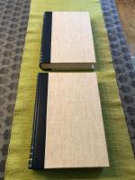 Ny illustrerad svensk litteraturhistoria. Band 1 och 2. Fem decennier av nittonhundratalet.