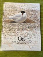 &Ouml;n : bilder fr&aring;n en sandrevel