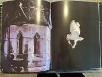 Audubons f&aring;glar