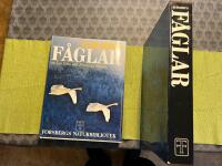 Audubons f&aring;glar