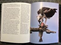 Audubons f&aring;glar