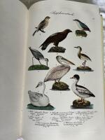 Skandinaviens - Danmarks, Sveriges, Norges, Islands och F&auml;r&ouml;arnas - f&aring;glar