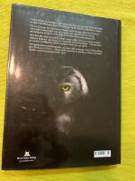 Nordiska N&auml;tter : djurliv mellan skymning och gryning