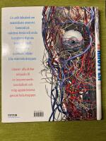 En resa genom kroppen