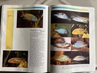 Konings's book of cichlids and all the other fishes of Lake Malawi