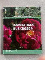 Gammaldags buskrosor
