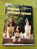 Engelsk springer spaniel