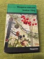 Skogens tr&auml;d och buskar i f&auml;rg