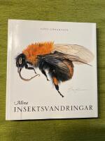 Mina insektsvandringar