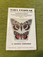 V&aring;ra fj&auml;rilar och hur man k&auml;nner igen dem. Del II Nattflyn