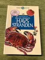 Vad jag finner p&aring; havsstranden