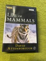 The life of Mammals
