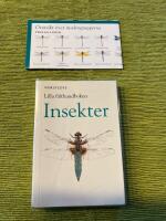 Insekter