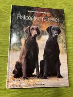 Flatcoated retriever