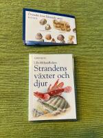 Strandens v&auml;xter & djur