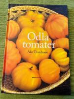 Odla tomater