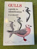 Gulls a guide to identification 