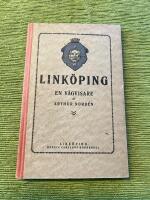 Link&ouml;ping en v&auml;gvisare 