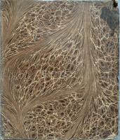 I. J. N. Tal, h&aring;llne f&ouml;re och vid hans kongl. h&ouml;ghet Sveriges och Norriges arf-furste prins Frans Gustaf Oscars, hertig af Upland, f&ouml;rsta nattvardsg&aring;ng