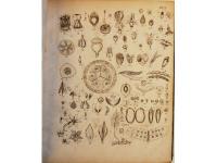 Atlas till Elementarkurs i Botaniken