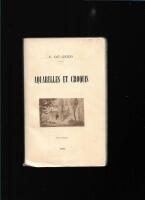 Aquarelles et croquis 