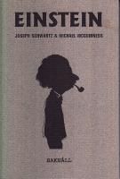 Einstein f&ouml;r envar