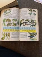 Naturboken : v&auml;xter och djur i Europa