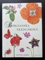 Bergianska tr&auml;dg&aring;rden
