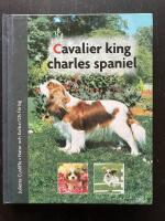 Cavalier king charles spaniel
