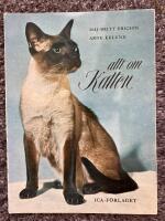 Allt om katten
