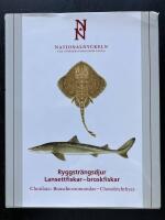 Ryggstr&auml;ngsdjur: Lansettfiskar - broskfiskar. Chordata: Branchiostomatidae - Chondrichthyes