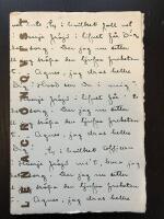 Stenlitografier av Lena Cronqvist / Texter ur Ett dr&ouml;mspel av August Strindberg