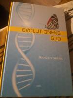 Evolutionens Gud