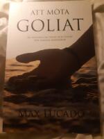 Att m&ouml;ta Goliat