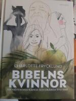 Bibelns kvinnor (101 m&ouml;ten med k&auml;nda och ok&auml;nda systrar)
