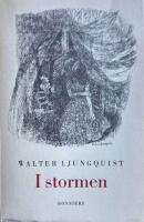 I stormen