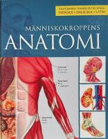 M&auml;nniskokroppens anatomi (Anatomiska termer p&aring; tre spr&aring;k, svenska engelska och latin.