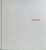 S&ouml;dra &Auml;ngby : tr&auml;dg&aring;rdsstad i funkis