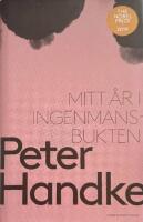 Mitt &aring;r i Ingenmansbukten : en saga fr&aring;n de nya tiderna