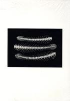 SAYAN ISAKSSON - DIVERSIONS